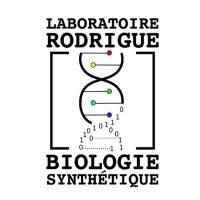 Rodrigue Lab(@RodrigueLab) 's Twitter Profile Photo