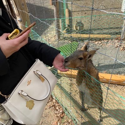 きりゆ2さんのプロフィール画像