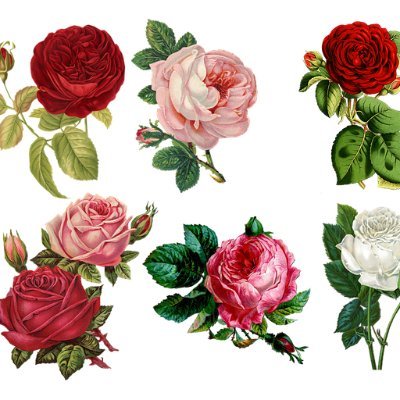 TFleurville's profile picture. Seul on va plus vite, 
Ensemble on va plus loin.