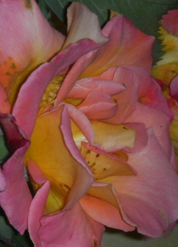 seven7five5four's profile picture. We at seven54 LOVE to cook and bake....check out our website for weekly for updates..ENJOY!!!