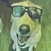 David (@85badger) 's Twitter Profile