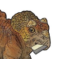 Stegosoapytops(@Stegosoapytops) 's Twitter Profile Photo