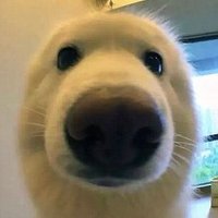 kilometers (@booderman529) 's Twitter Profile Photo kilometers (@booderman529) 's Twitter Profile Photo
