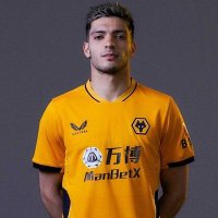 🏴 Wolves Argentina 🇦🇷 ◣ ◢ (@wolverargpton) 's Twitter Profile