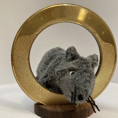 Stag20211's profile picture. 945701