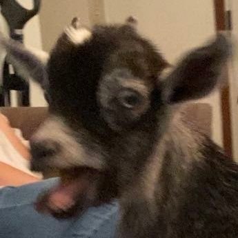 AshestoAsh_'s profile picture. Amateur photographer, scenery painter, and ok cosplayer