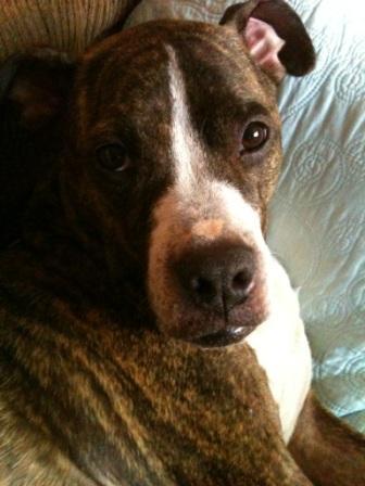 dkin4952's profile picture. 