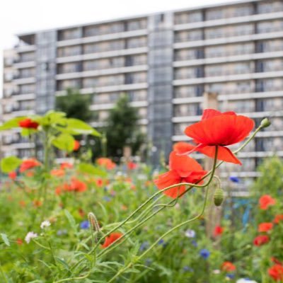 Tenants and residents association for Southampton Way Estate London SE5