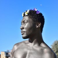 Ibusaurus (@ibusaurus1) 's Twitter Profile