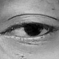 Dynosord (@dynosord) 's Twitter Profile