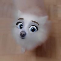 Shiska (@shiska83) 's Twitter Profile Photo Shiska (@shiska83) 's Twitter Profile Photo