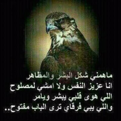 vaoPIDS7eE4h2Va's profile picture. 