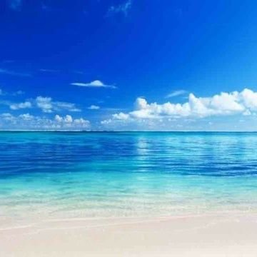 GS05Gzs4yQUGOYP's profile picture. 