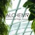AlchemySprings (@alchemysprings) Twitter profile photo AlchemySprings (@alchemysprings) Twitter profile photo
