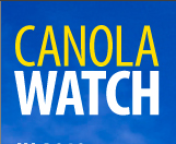 CanolaWatch Profile Picture