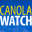 CanolaWatch's profile image