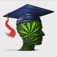 cannanation (@le_galizit) 's Twitter Profile Photo cannanation (@le_galizit) 's Twitter Profile Photo