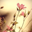 Julia Bogdan - @jlbgdn - Twitter