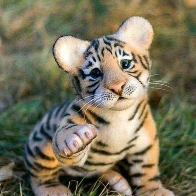 Alberto25158051's profile picture. Soy