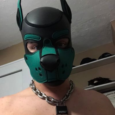 26 | 6’ 1” 170 lbs | Gay, kinky sub/pup/pig. Working on growing 💪🏻 Always looking to explore kink and just have fun. Feel free to message me! he/him/it