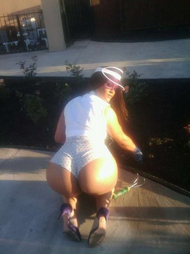 AzzODaDay's profile picture. Collective Of Great Azzez In their natural habitat, Some Big, Some Small, Come One, Come All...... SPONSERED BY Oli Versus N the Gud Folks @ 26ick ENT.