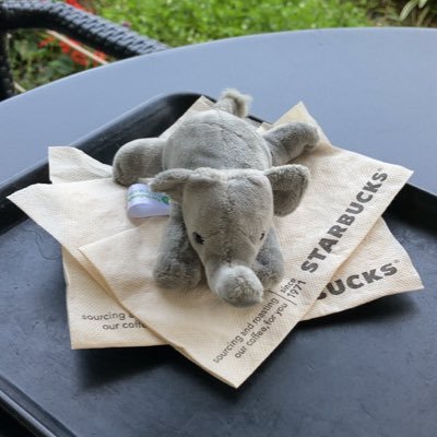 MoonUtheTree's profile picture. 