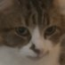 Sam (@samtheshortboy) Twitter profile photo Sam (@samtheshortboy) Twitter profile photo