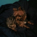 Michele Mercer - @NTMoe - Twitter