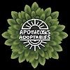 🍂 Apo - Adoptables & D&D Character Designs(@ApoAdopts) 's Twitter Profile Photo