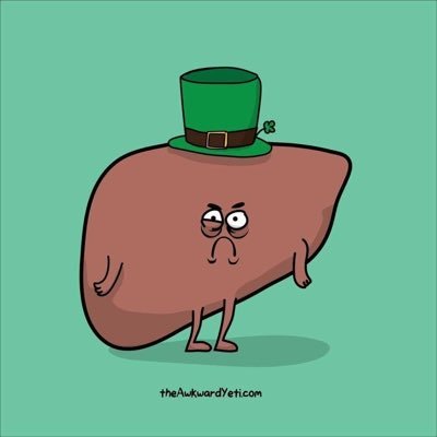 MBBS, Dip(Pharm) | A Young Angry Liver Interested in All things in Hepatology and Metabolism | Most passionate about 🇯🇵 | RT =/ Support