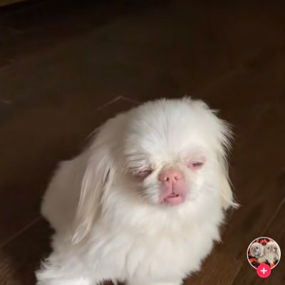 ivelisse__'s profile picture. black lives matter .. now say it again