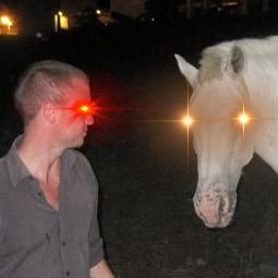 ajerzle's profile picture. The world is my oyster.