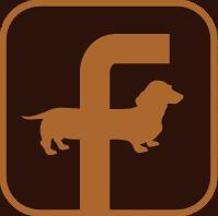 New Website for All Things Weener: Dachshunds, Mini Dachshunds, Doxies, Wiener Dogs, Weiner Dogs...