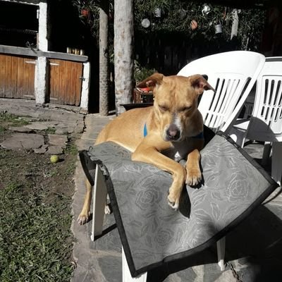 CODE YT-ELRULO en la tienda de Fortnite
Intento de streamer
Moderaba canales de twitch https://t.co/qbGlRPkh8K
Contact Email: elrulolazio@gmail.com