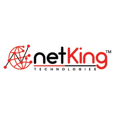 NetKing Technologies is one of the growing SEO company in india offers customize packages for your search engine optimization need.