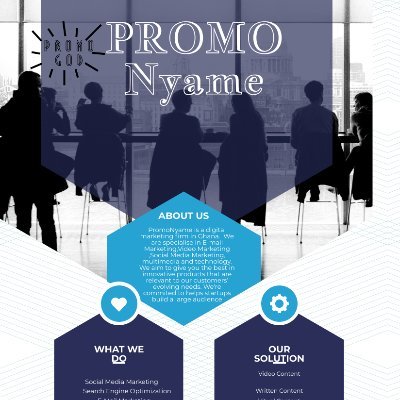 PromoNyame's profile picture. Digital Marketing Expert•We manage social media platforms and brands.