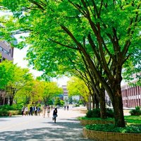群馬大学オープンキャンパスGU'DAY2021【個別相談受付用】 (@day2021gu) 's Twitter Profile