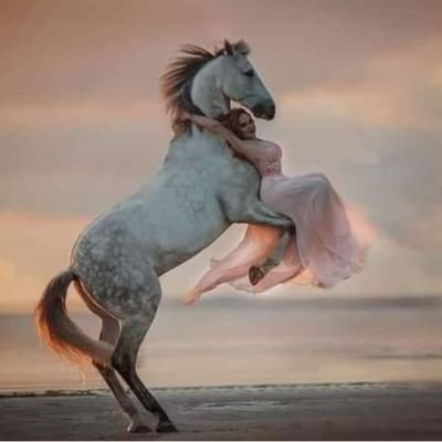 Sadk79081358's profile picture. كحل