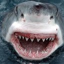 cameron batty - @cameronbatty1 - Twitter