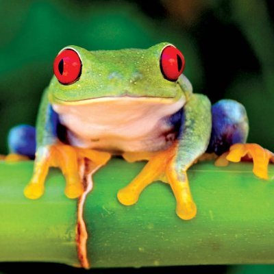 Fandaaar's profile picture. Hello nice to meet you. 
I hope you have a great day