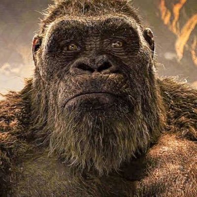 ゴリラ・ゴリラ・ゴリラさんのプロフィール画像
