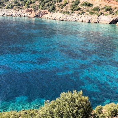 aysu203136's profile picture. 