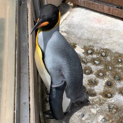 ok_etest's profile picture. 