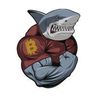 Cryptosharks (@criptosharks) 's Twitter Profile