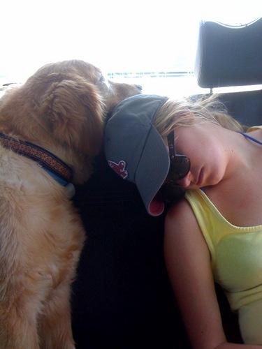 I have a strong bias for golden retrievers