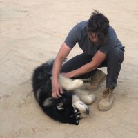 Luke Sader (@saderluke) 's Twitter Profile