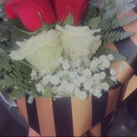 SEMO_BAR (@semo_bar) 's Twitter Profile