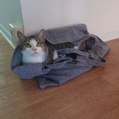 Liebt Ihren Mann und Ihre zwei Katzen 💖, hat ein Händchen für Brillen. 👓🕶️