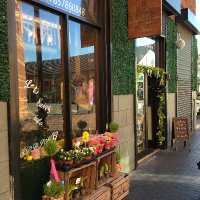 Cream and Browns Florist Middlesbrough (@creamandbrowns1) 's Twitter Profile