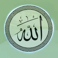 Ayesha (@ayeshaasiddiqa) 's Twitter Profile